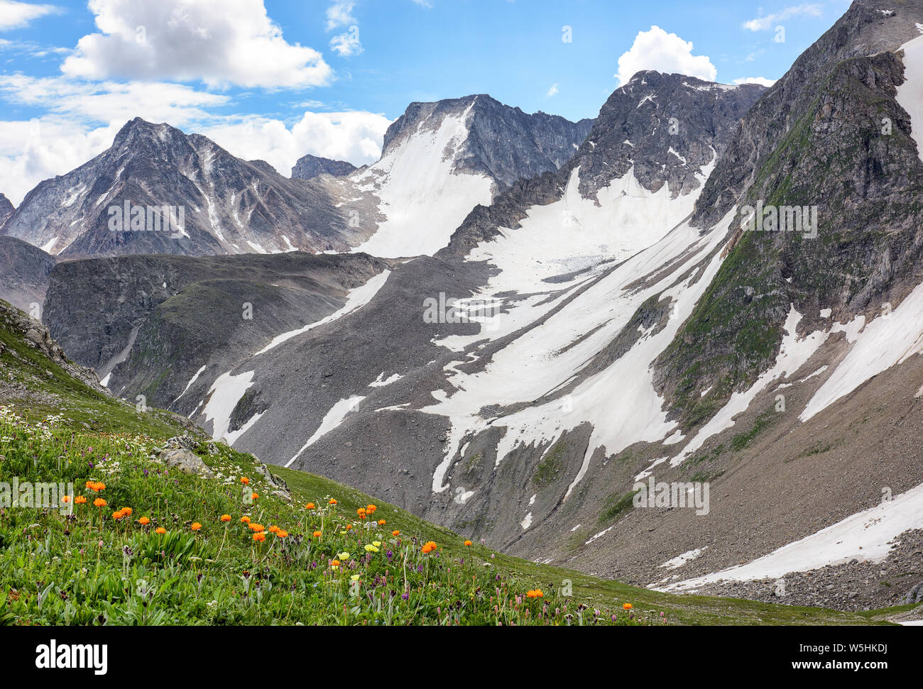 La gamma della montagna in Siberia Orientale. Il picco Topografov. Sayan montagne. Asia centrale Foto Stock