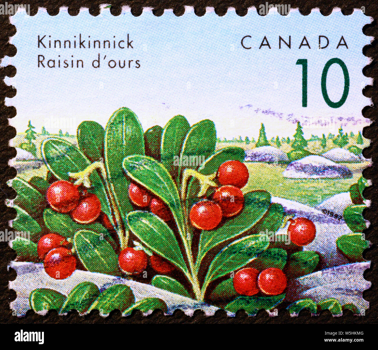 Bacche rosse su canadian francobollo Foto Stock
