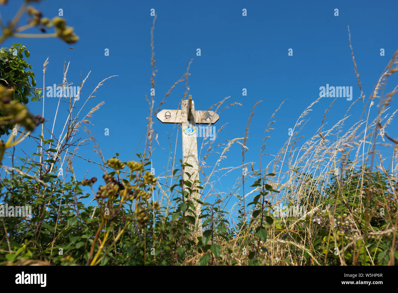 Un segno di direzione post per Il Pembrokeshire Coast Path in estate Luglio 2019 Foto Stock