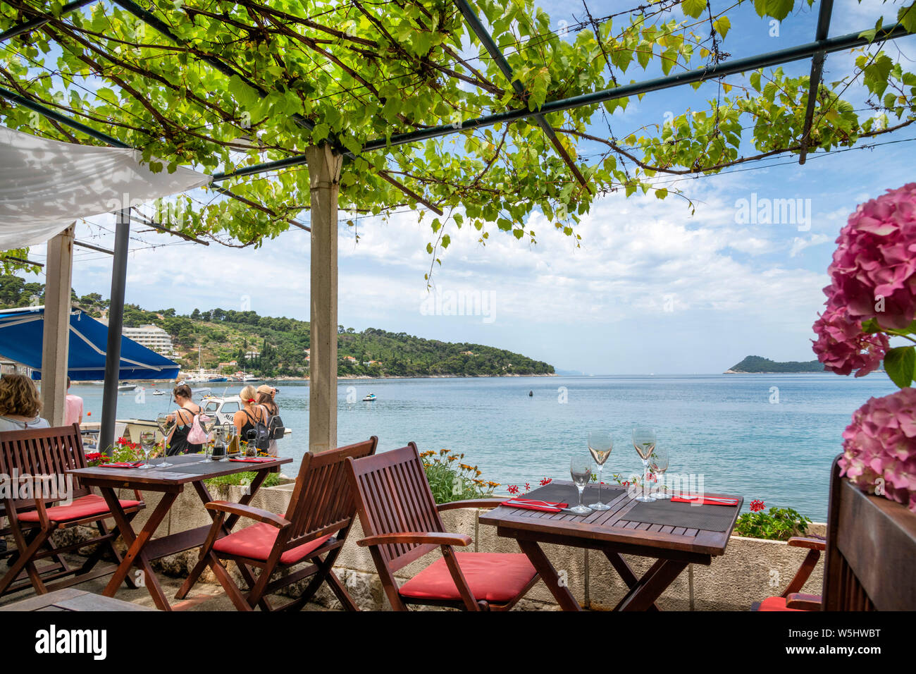 Donje Celo, isola di Kolocep, Isole Elafiti, Dubrovnik, Croazia Foto Stock