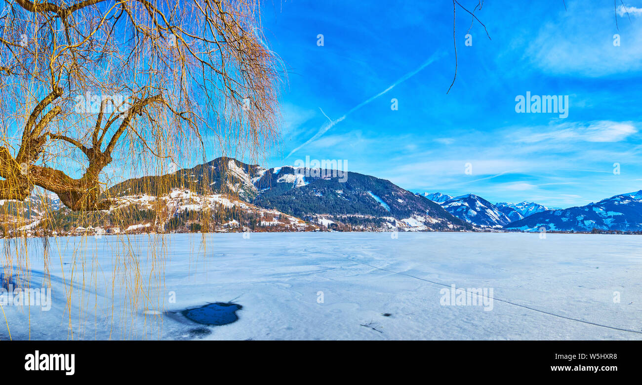 Panorama di congelati lago Zeller See con una vista sul piccolo foro di ghiaccio sulla superficie bianca, catena montuosa alpina sullo sfondo e salice piangente albero, Ze Foto Stock