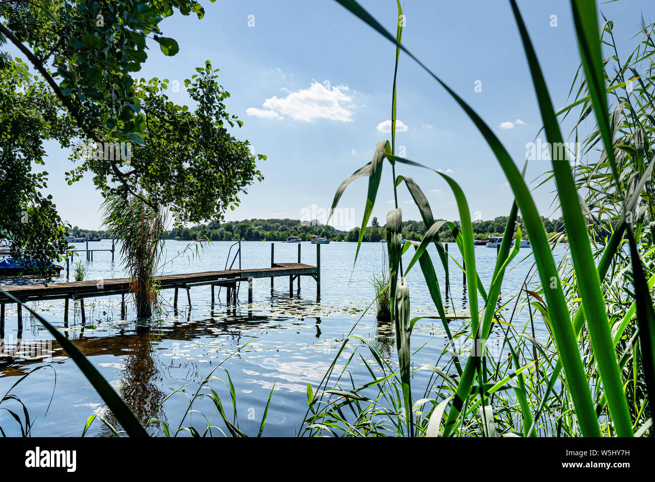 Idillica vista del fiume Havel a Berlino con Pier e reed sulla riva sotto il cielo di estate blu Foto Stock