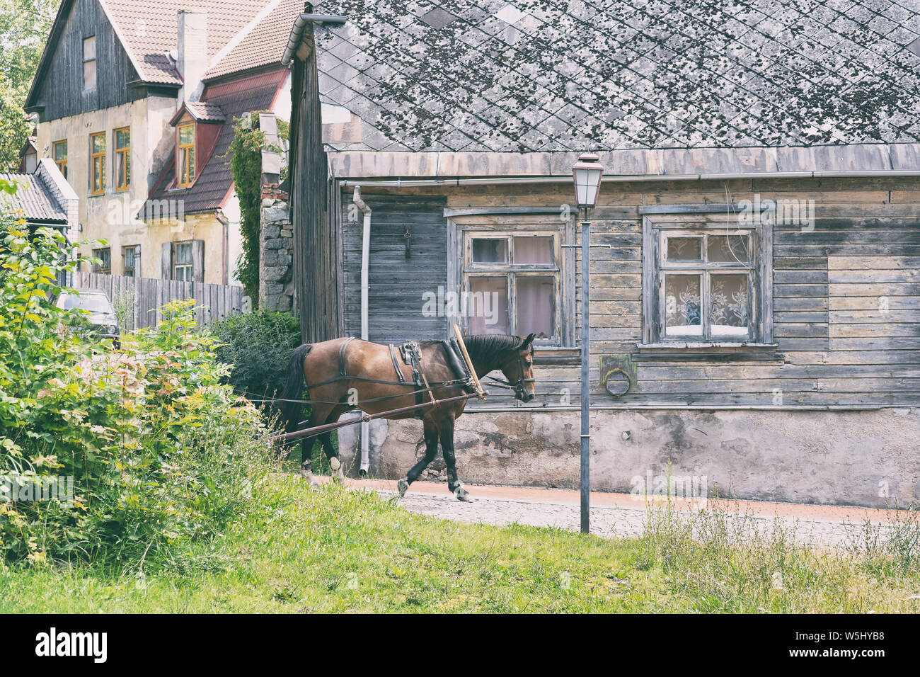 Disegnate cavallo va sulla strada della città antica di Cesis in estate Foto Stock