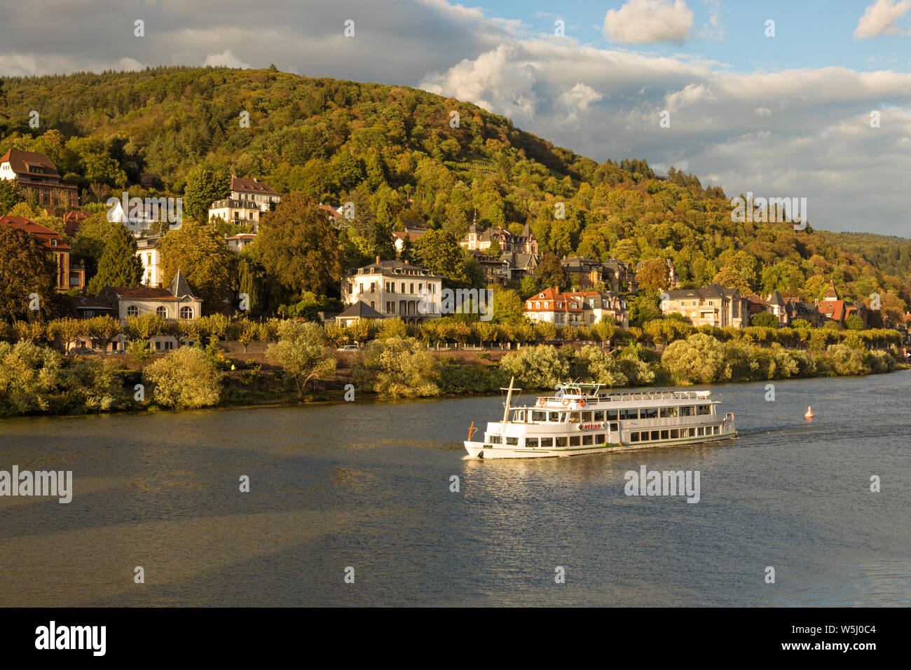 Imbarcazione turistica MERIAN sul fiume Neckar, passando Heiligenberg hill e quartiere raffinato a Heidelberg Foto Stock