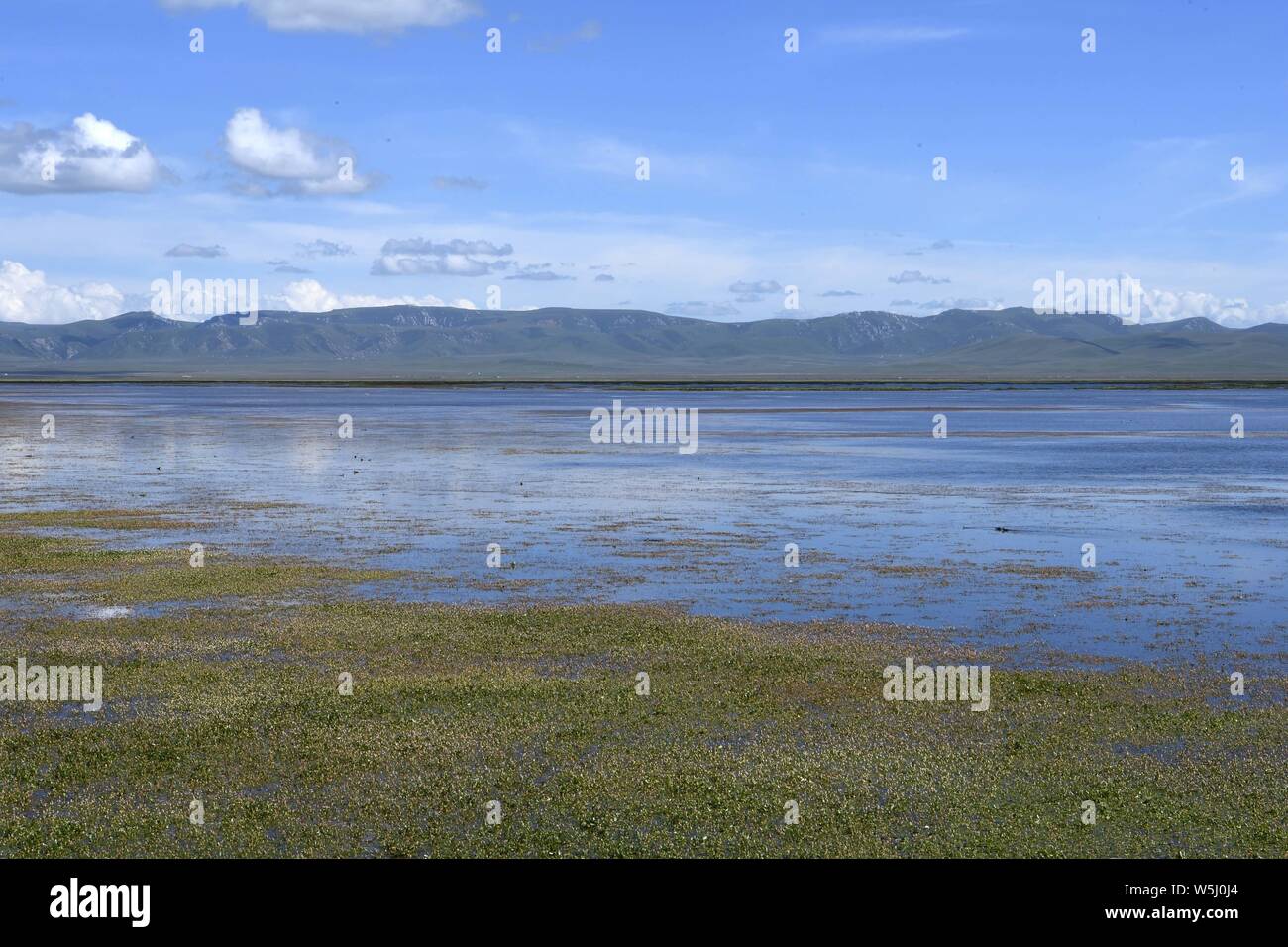 Luqu. 29 Luglio, 2019. Foto scattata a luglio 29, 2019 mostra una vista del lago Gahai di Luqu County in tibetano prefettura autonoma di Gannan, a nord-ovest della Cina di Provincia di Gansu. La zona del Lago Gahai, noto come una grande zona umida al Plateau Qinghai-Tibet nonché uno dei principali sorgenti del fiume giallo, è stata l'espansione e ha raggiunto i 2.700 ettari a causa di piogge abbondanti e il miglioramento del suo ambiente ecologico negli ultimi anni. Credito: Ma Ning/Xinhua/Alamy Live News Foto Stock