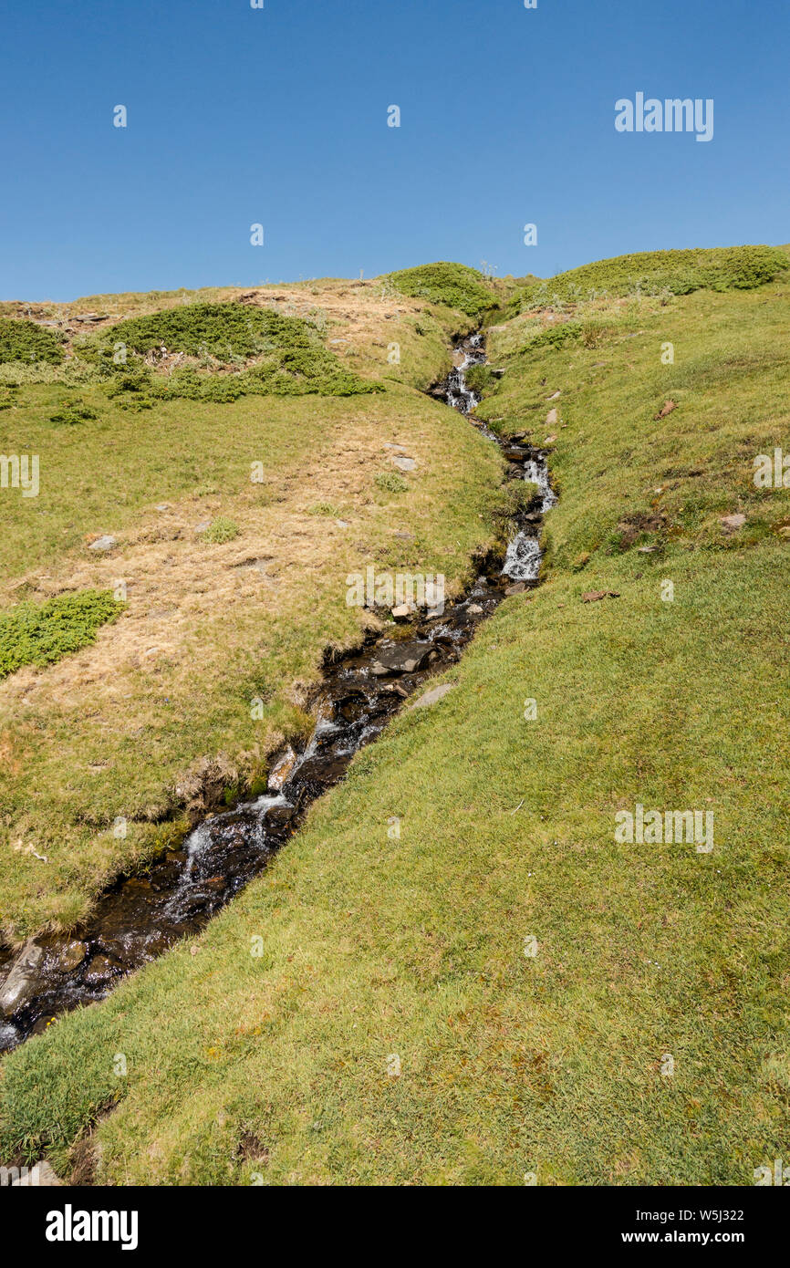 Sierra Nevada, Arroyo San Juan, il flusso di acqua nella stagione estiva. a 2500m altutude, Granada, Andalusia, Spagna. Foto Stock