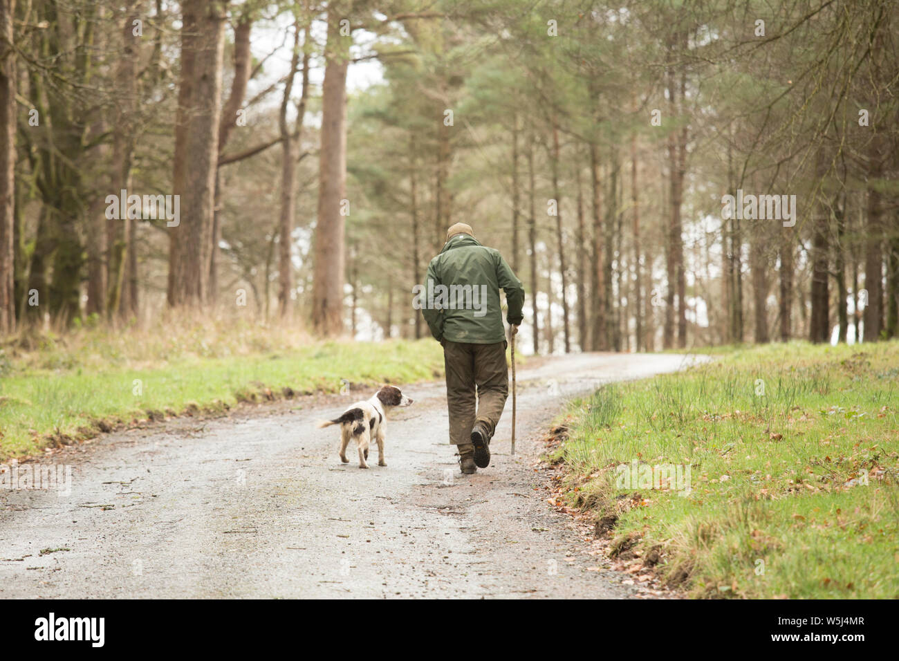 Un guardiacaccia e il suo cane a camminare indietro al loro trasporto alla fine di una trasmissione su un fagiano Shoot Foto Stock