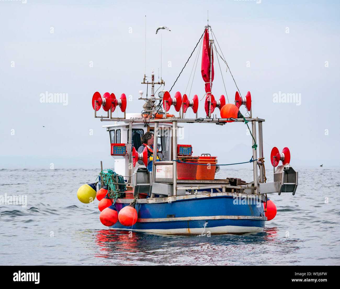 Pescatore in barca da pesca con lenze cast, Firth of Forth, Scotland, Regno Unito Foto Stock