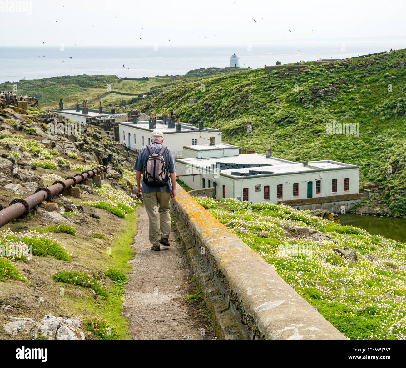 Senior uomo che indossa uno zaino a piedi in discesa per edifici, Isola di maggio, Scotland, Regno Unito Foto Stock