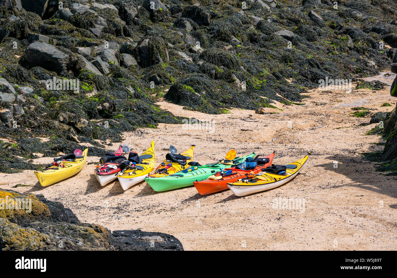 Gruppo di coloratissimi kayak sulla spiaggia, Isola di maggio, Scozia, Regno Unito Foto Stock
