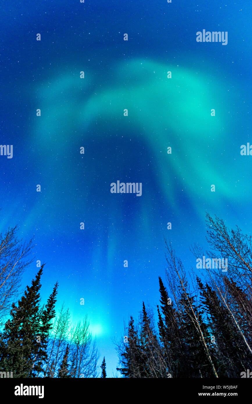 Luci del nord in Wiseman, Alaska, Wiseman è in Brooks Range al di sopra del Circolo Polare Artico. Foto Stock