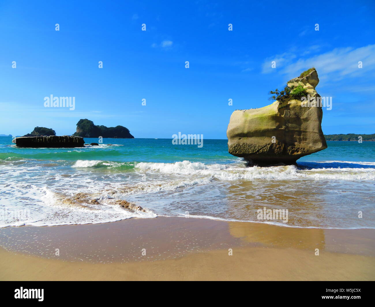 Il Sorridente Sphinx Rock sulla Penisola di Coromandel in Nuova Zelanda Foto Stock