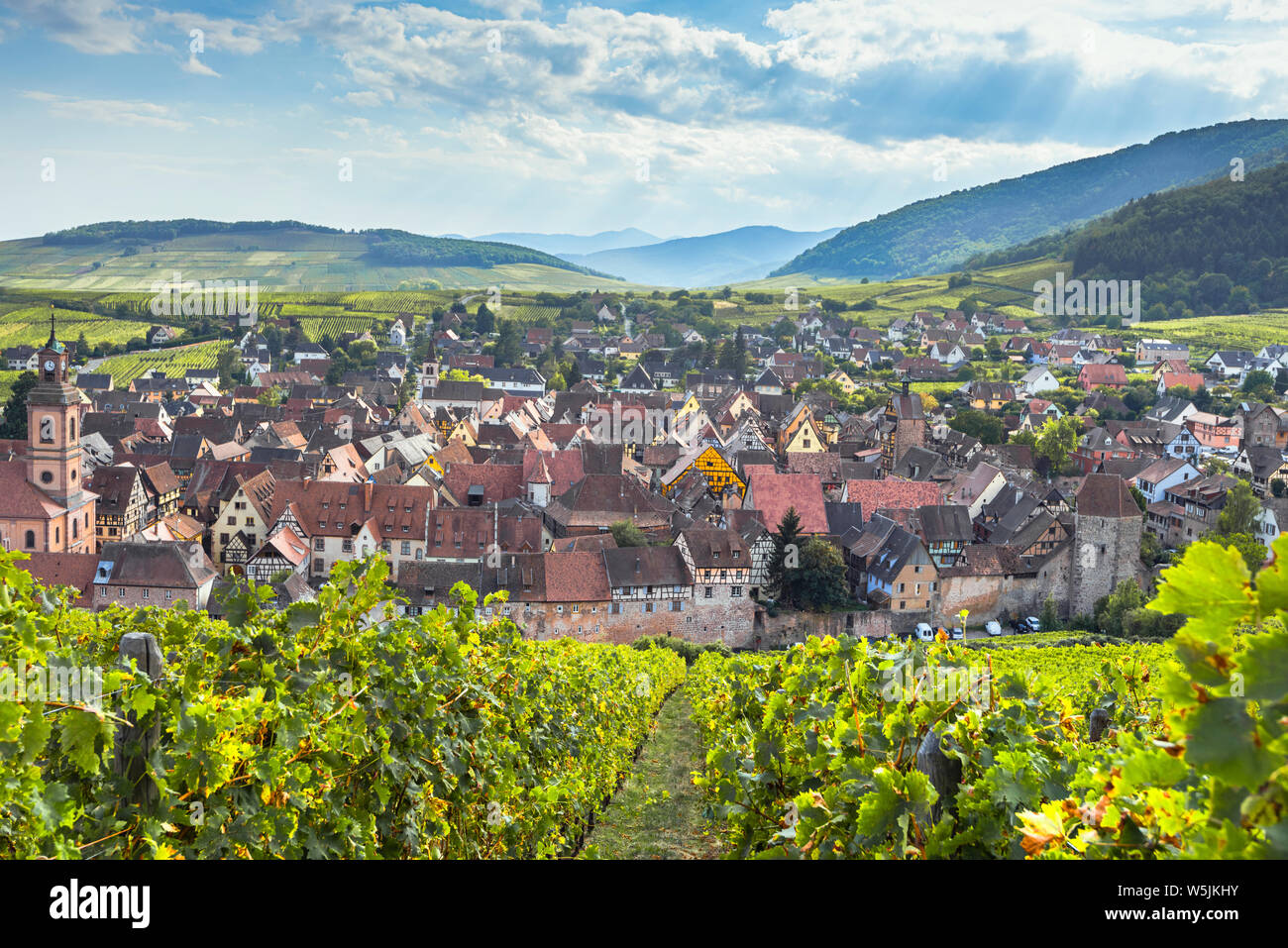 Panorama del villaggio del vino Riquewihr e le montagne Vosges, l'Alsazia, destinazione tipica della Strada del Vino, Francia Foto Stock