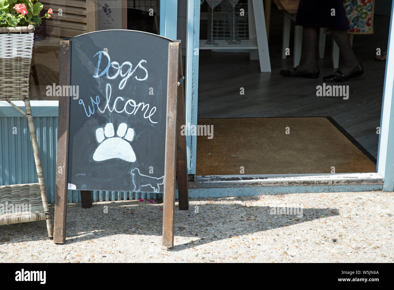 Un segno della lavagna al di fuori di un negozio annuncia che i cani sono i benvenuti Foto Stock
