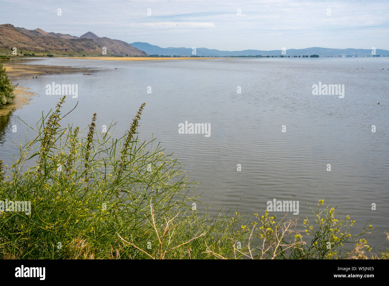 Vista del Tule Lake National Wildlife Refuge nella California settentrionale Foto Stock