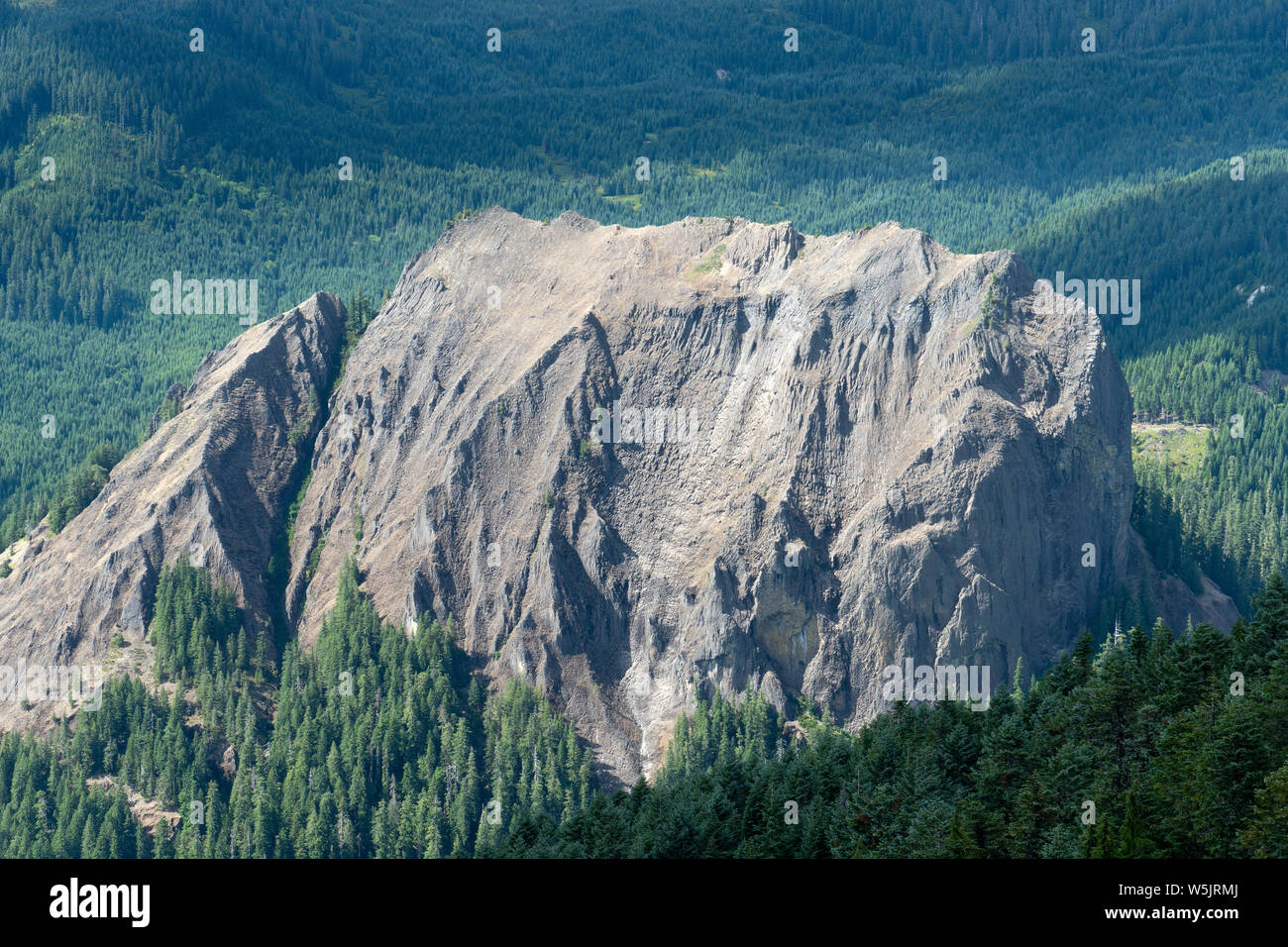 Monolito di invadente roccia ignea --1200 piede alta Wolf Rock in western Oregon Cascades, STATI UNITI D'AMERICA Foto Stock