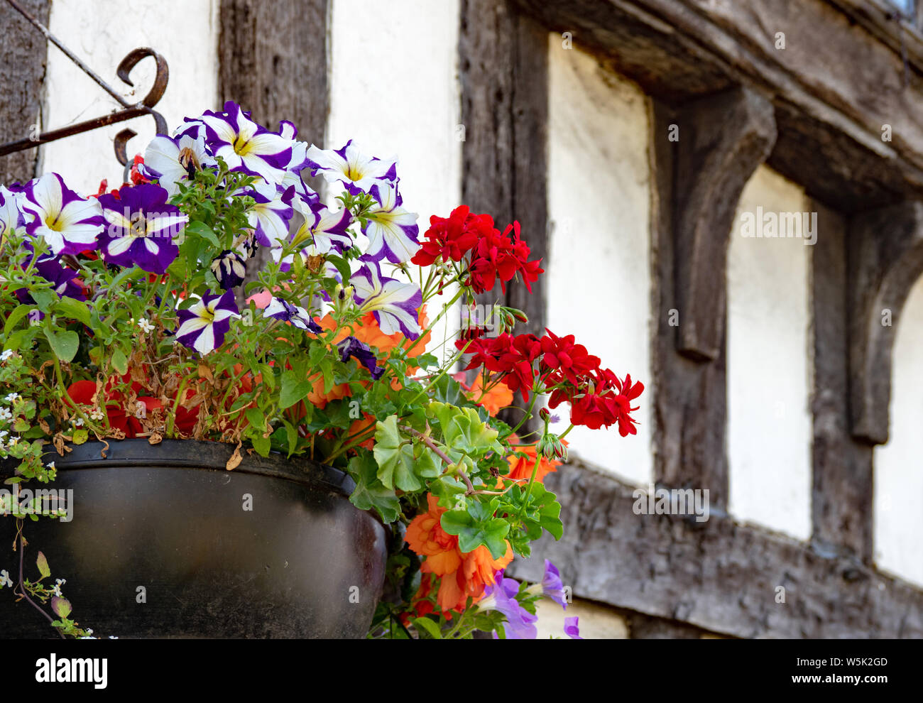 Appeso un cesto con fiori nella parte anteriore di un edificio Tudor a Evesham, Worcestershire, England, Regno Unito Foto Stock