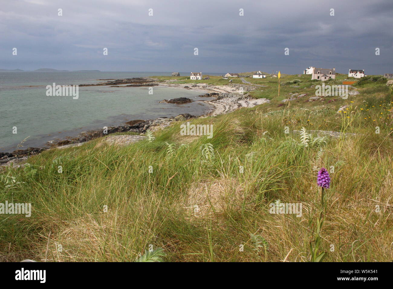 East Kilbride, Sud Uist, Ebridi Esterne, guardando verso la barra, con machair in primo piano comprendente un'orchidea Foto Stock