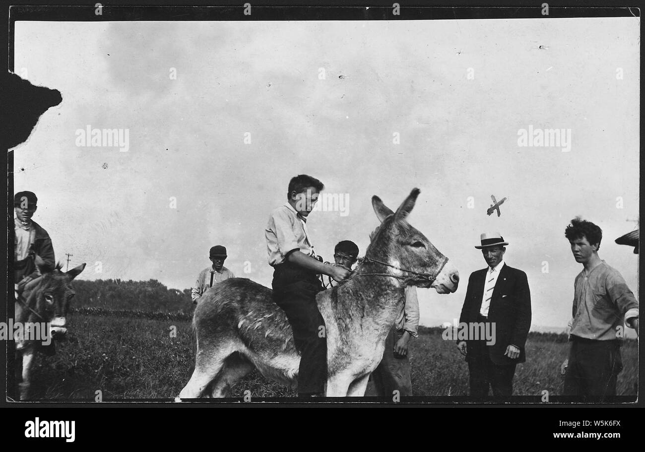 Ragazzi asini di equitazione, campo di applicazione e il contenuto: descrizione dettagliata sulla retromarcia. Nicholas, che apparentemente aspiravano ad una agenzia job, sorveglia l'attività. Foto Stock Ragazzi asini di equitazione, campo di applicazione e il contenuto: descrizione dettagliata sulla retromarcia. Nicholas, che apparentemente aspiravano ad una agenzia job, sorveglia l'attività. Foto Stock