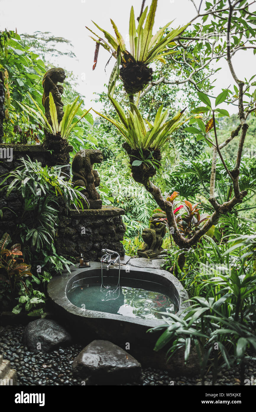 Pietra di lusso bagno esterno nel verde tropicale giungla. Bali Ubud. Concetto di solitudine con la natura. Foto Stock