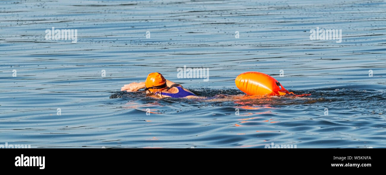 Una donna nuotatore è nuotare in acqua da se stessa la formazione per un triathlon con un arancione della cuffia e di sicurezza galleggiante di boa strapped per la sua vita Foto Stock