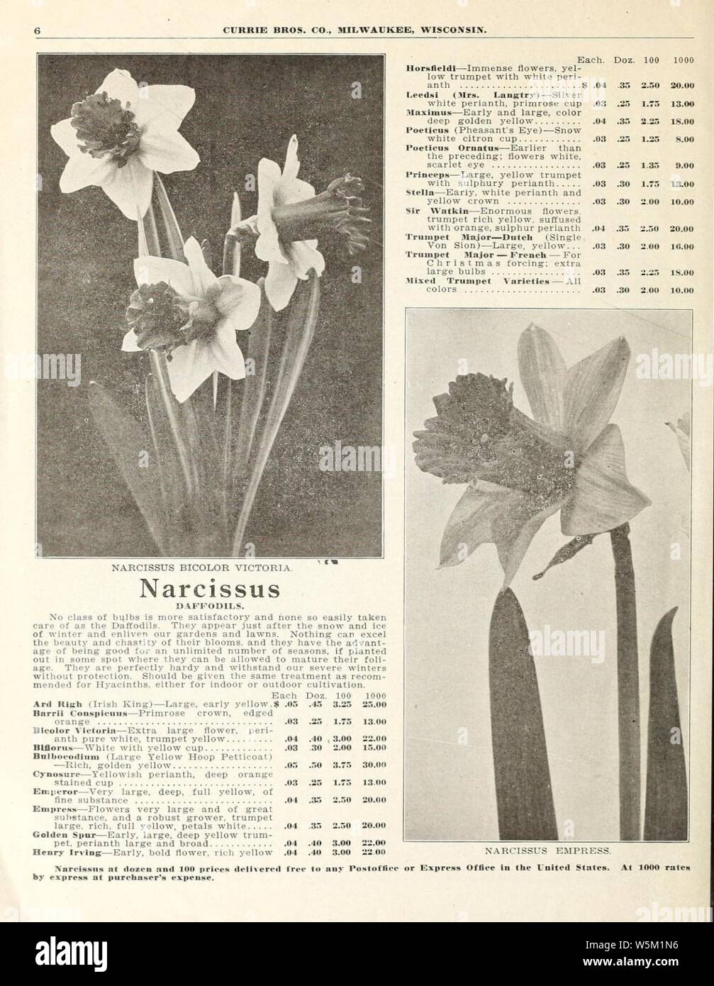Currie di bulbi e piante (pagina 6) (15817731023). Foto Stock