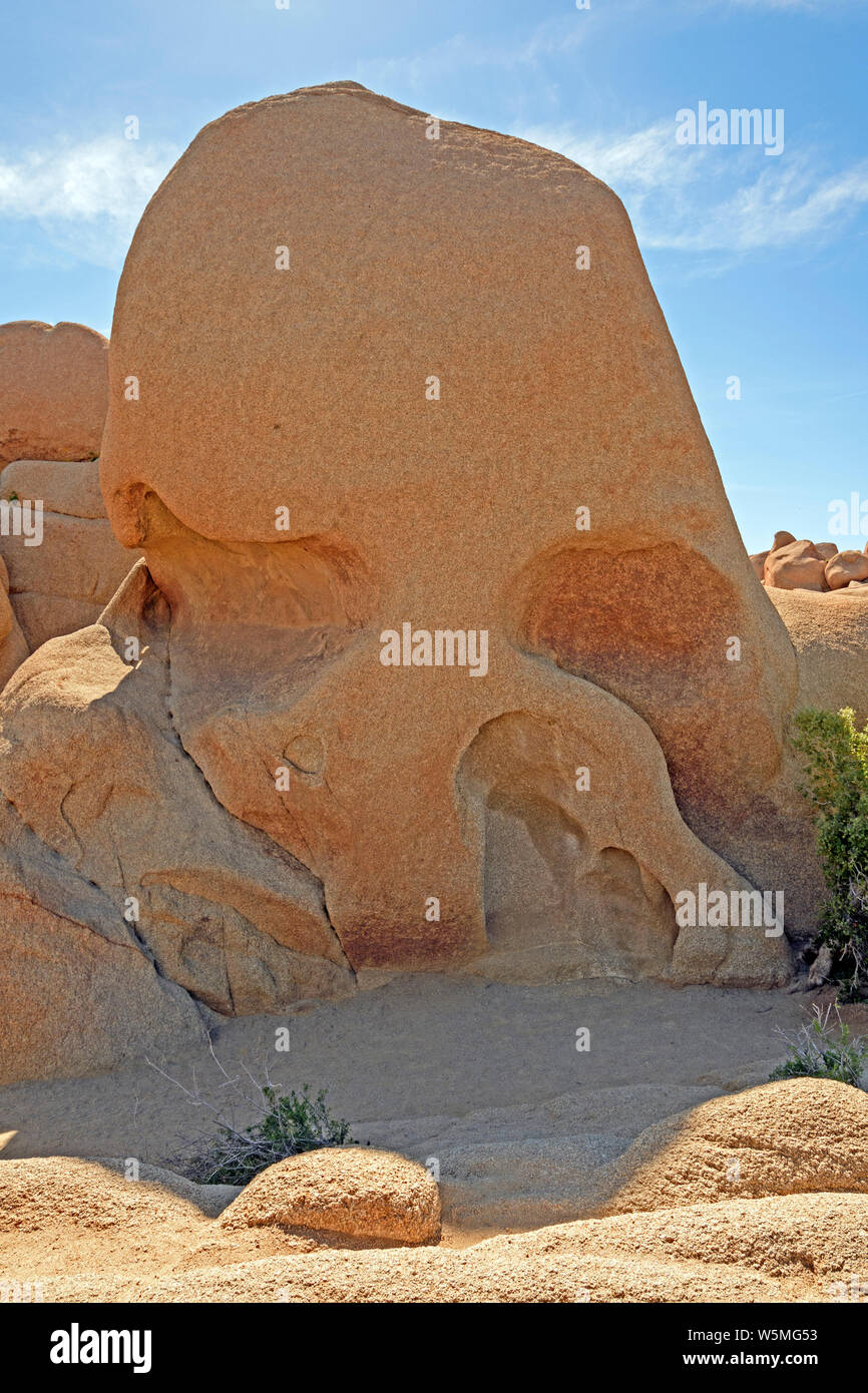 Cranio Rock nel deserto a Joshua Tree National Park in California Foto Stock