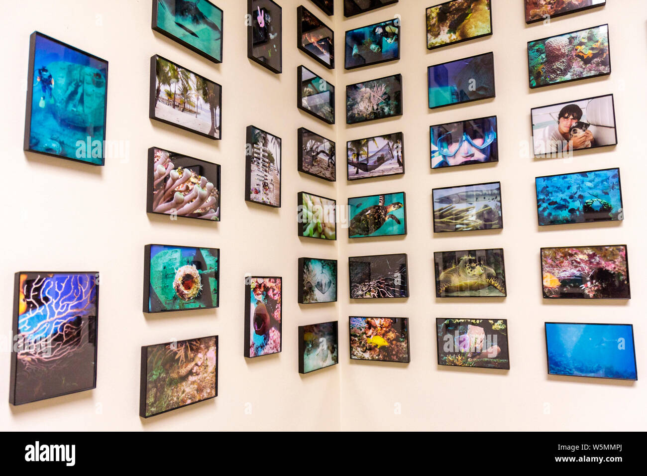 Miami Beach Florida, Mt. Mount Sinai Medical Center, ospedale, assistenza sanitaria, studio medico, sala esame, arredamento, design d'interni, cornice foto, subacquea Foto Stock