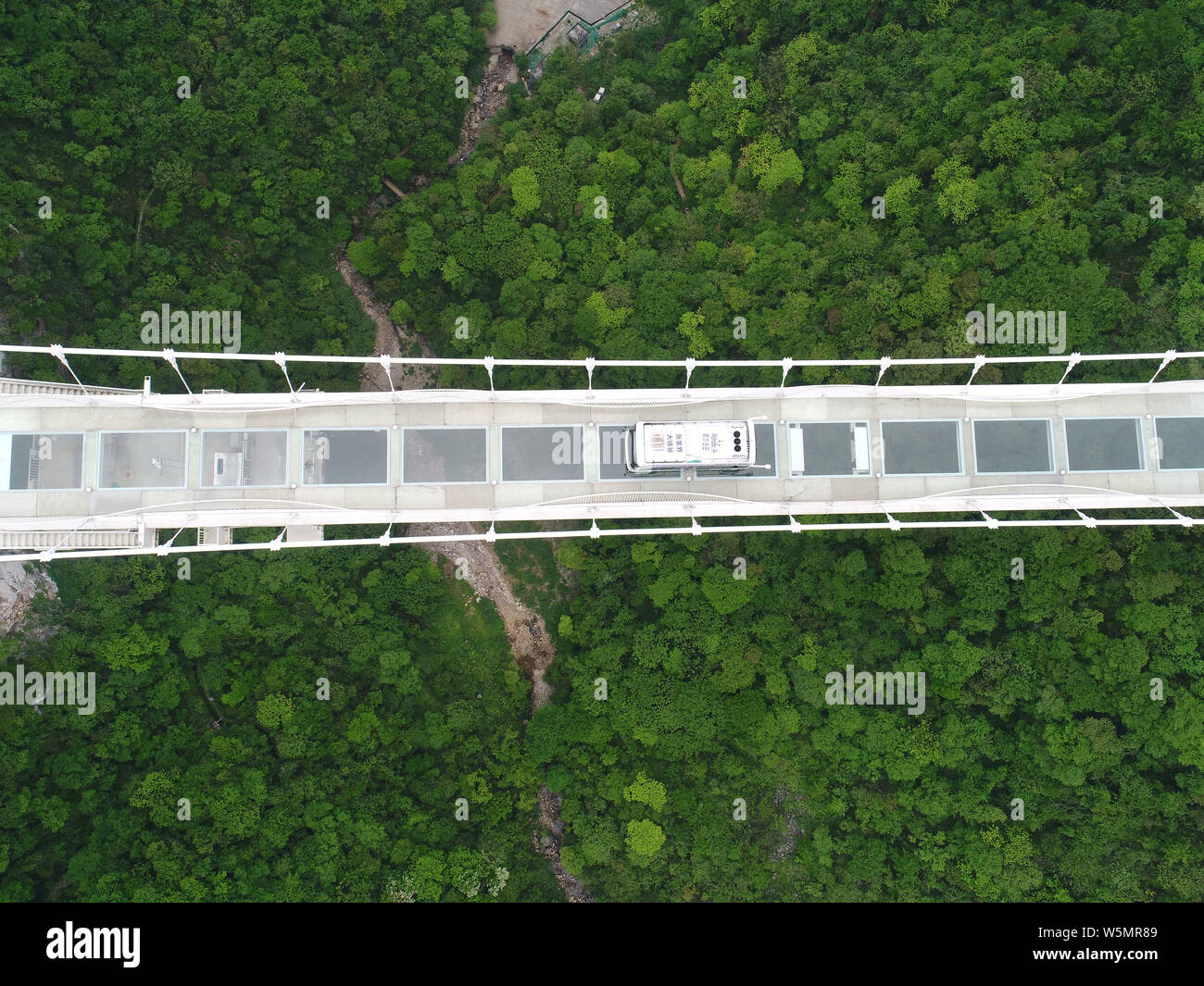 Un bus senza equipaggio unità su la più lunga del mondo e il più alto dal fondo di vetro ponte sopra il Zhangjiajie Grand Canyon a Wulingyuan scenico e storico in Foto Stock