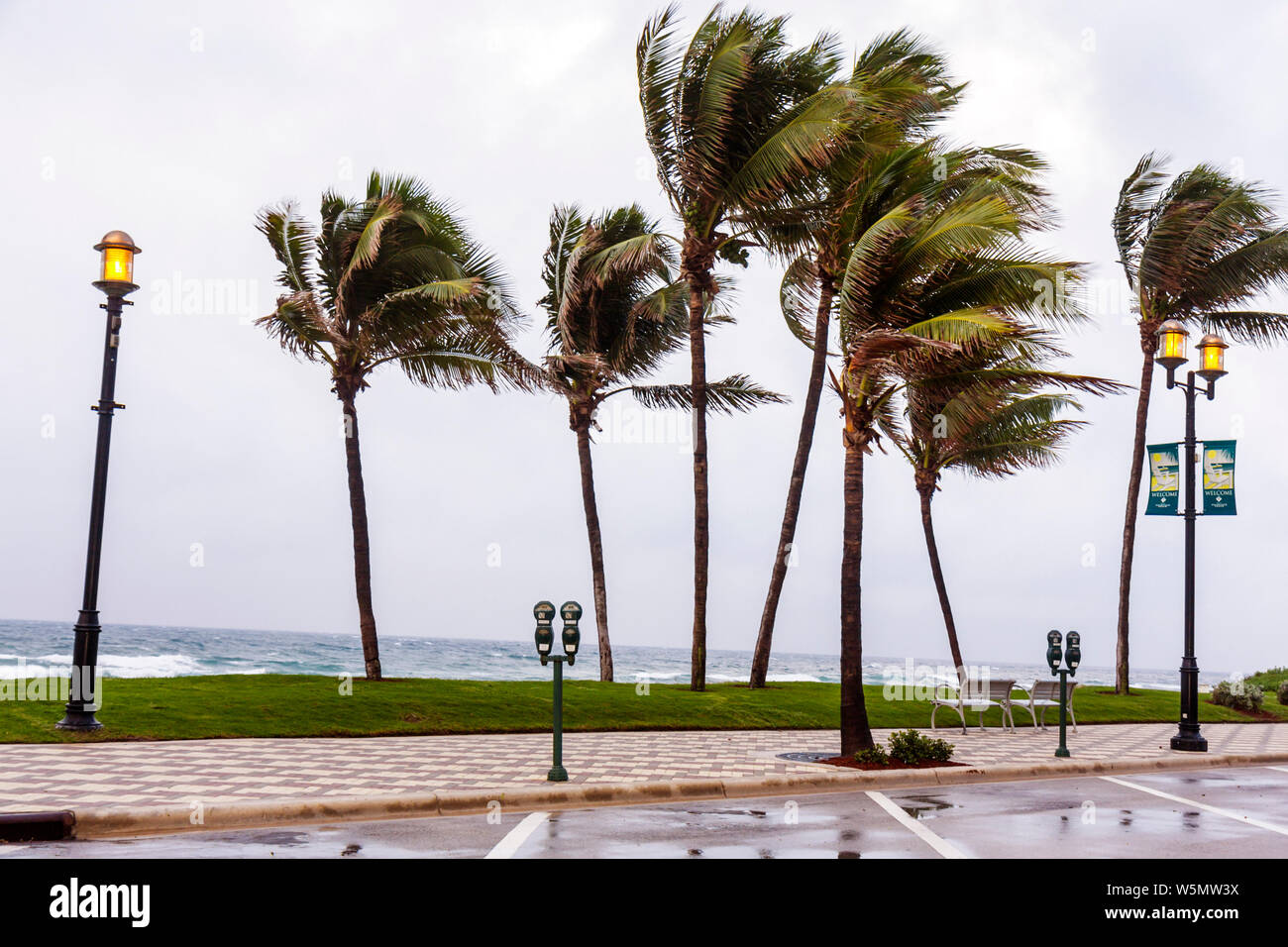 Deerfield Beach Florida, Ocean Water Way, spiagge pubbliche, palme, facciate, rainstorm, vento, vento soffiato, tempo, nuvoloso, grigio, parchimetro, flessione, visi Foto Stock