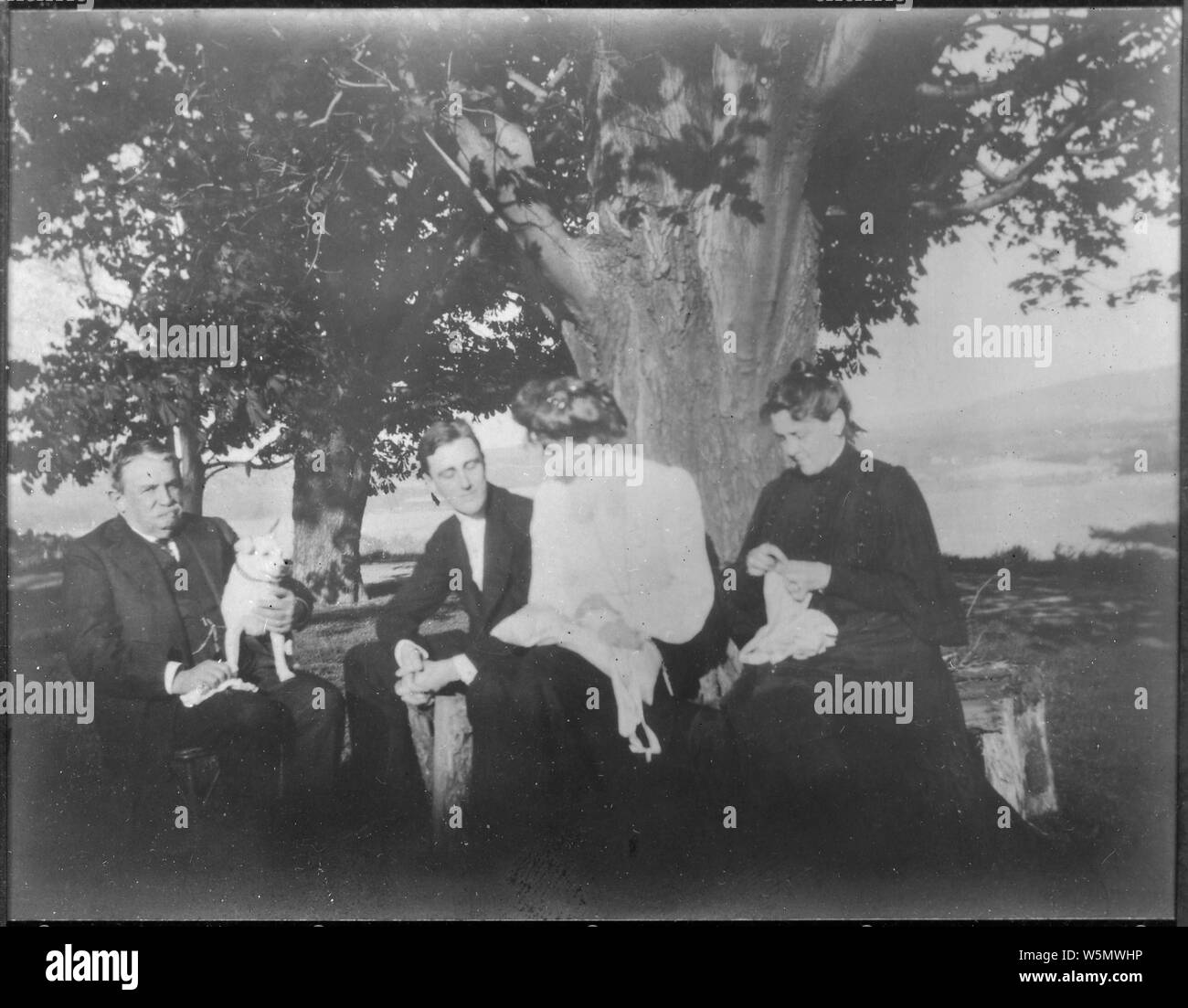 Roosevelt e Eleanor Roosevelt con Warren Delano III e Sara Delano Roosevelt a Newburgh, New York Foto Stock