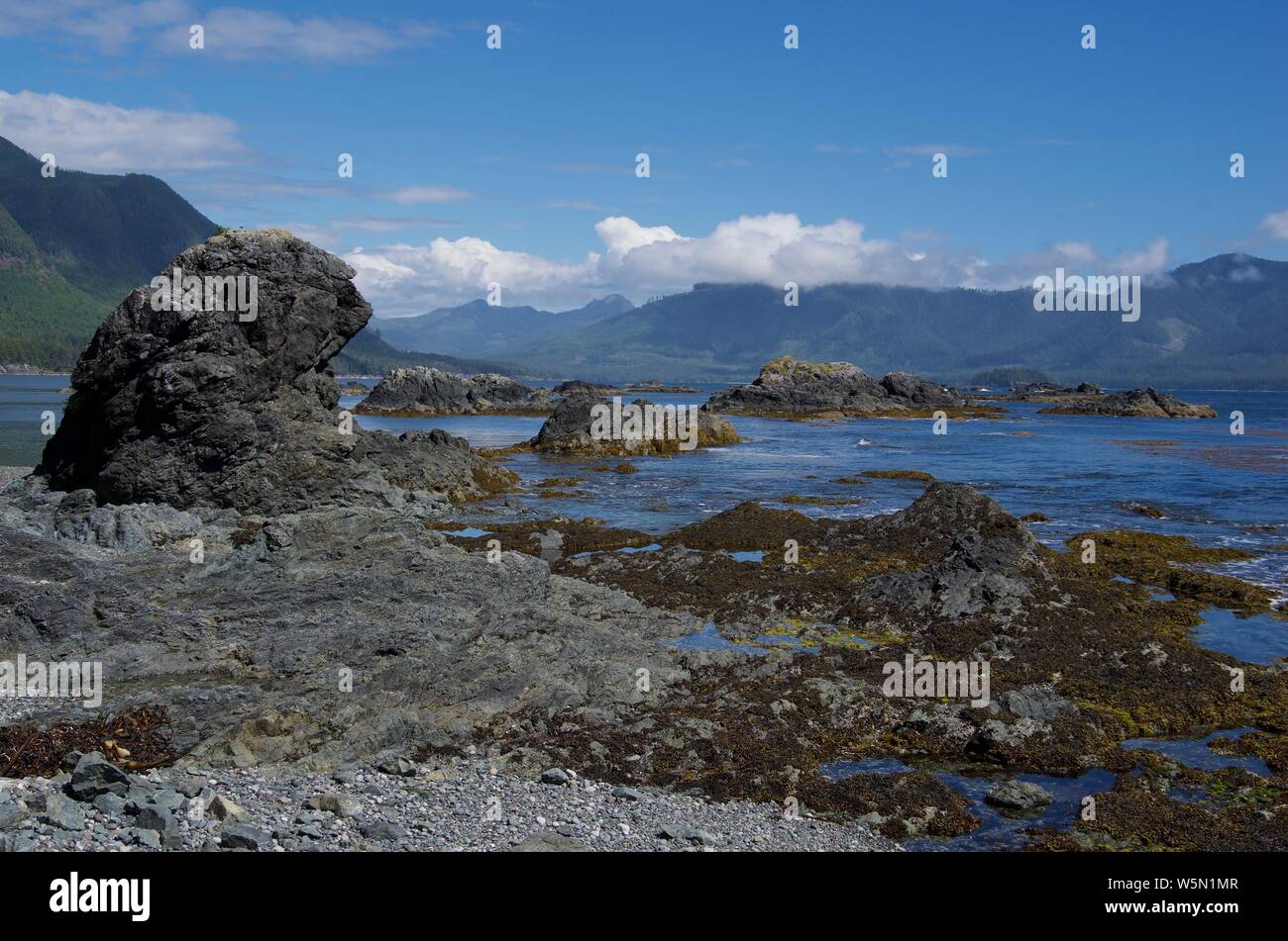 Insolite formazioni di roccia lungo la riva di ingresso Nuchatlitz, British Columbia, sulla giornata di sole Foto Stock
