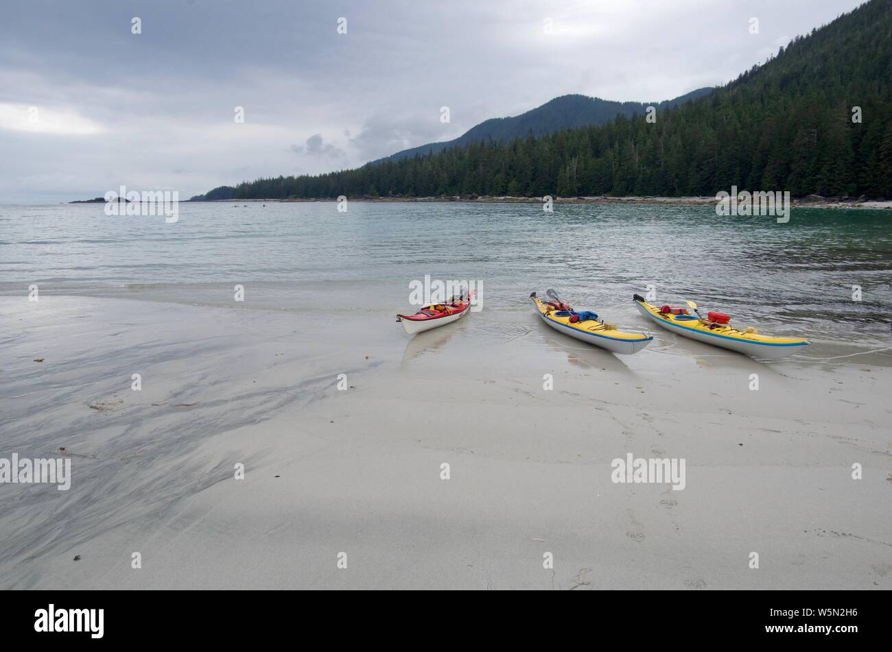 Tre kayak da mare tirata su di una spiaggia di sabbia sulla penisola Brookes, Isola di Vancouver. Grigio, cielo nuvoloso. Foto Stock