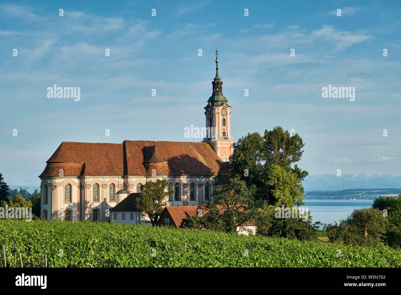 Chiesa di pellegrinaggio Birnau con vigneti, Uhldingen-Muhlhofen, sul lago di Costanza Alta Svevia, Baden-Württemberg, Germania Foto Stock