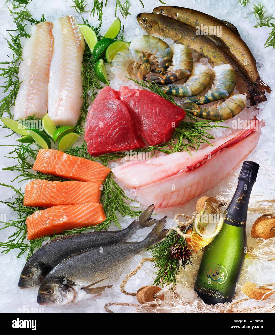 Selezione di varie materie di pesce, gamberi, bottiglia di champagne, su  ghiaccio, Germania Foto stock - Alamy