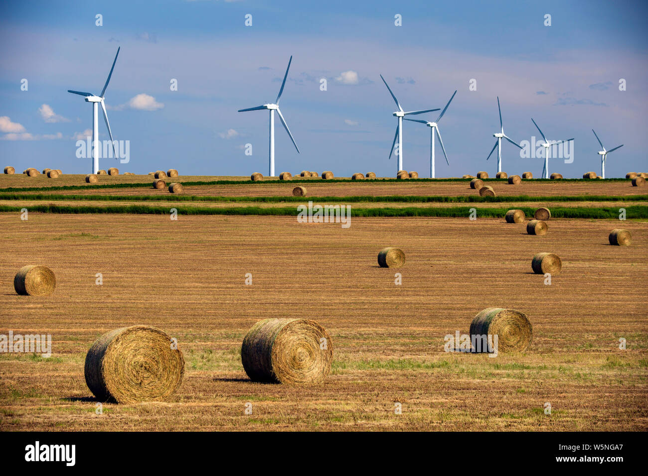 Fonti di energia rinnovabili turbine eoliche in una pianta coltivata agricola campo con balle di fieno nelle praterie canadesi di Alberta, Canada. Foto Stock