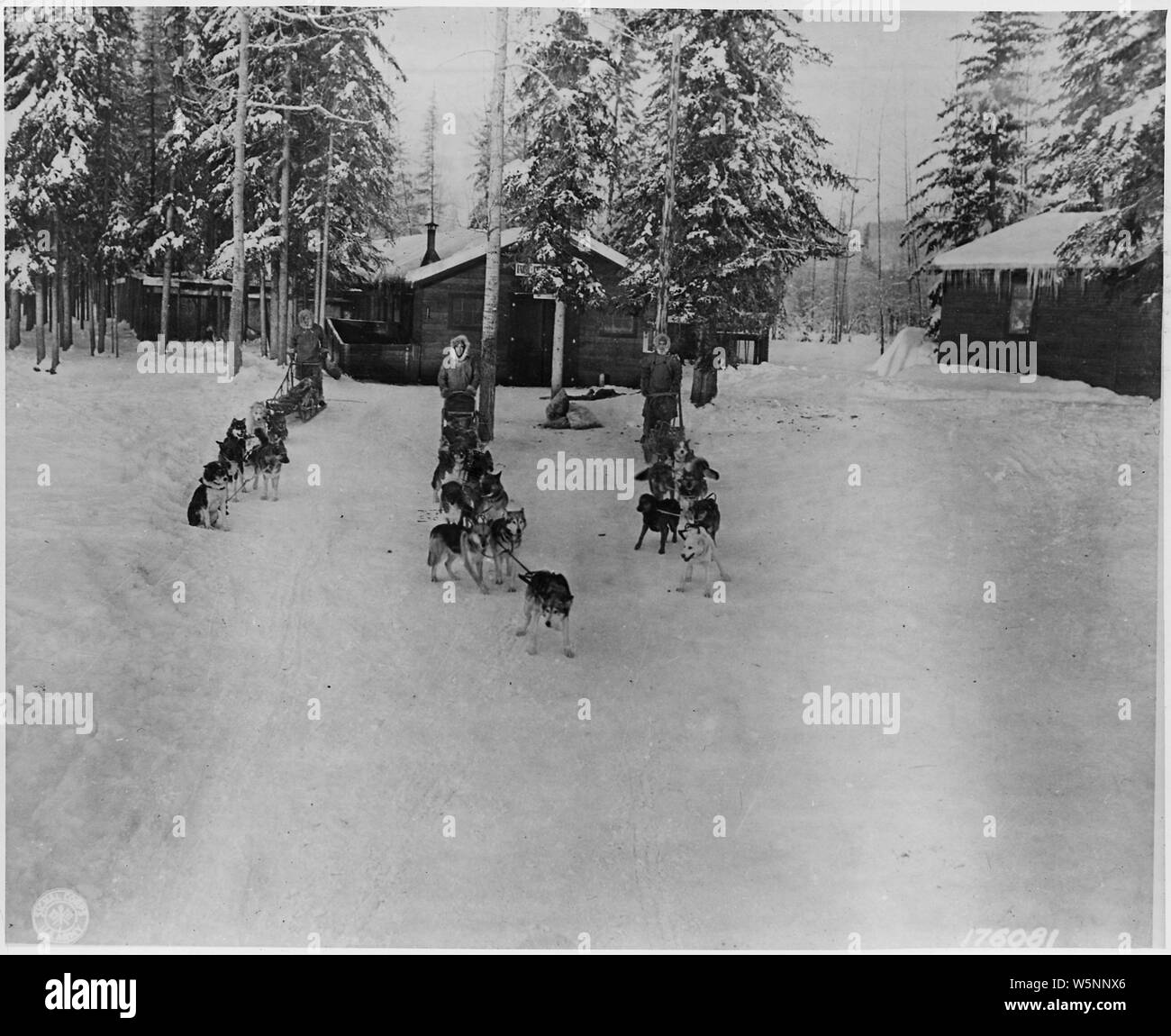 In questo coperte di neve post, da qualche parte in Alaska, cane squadre di eseguire attività nel paese impassibile ad altre forme di locomozione. Foto Stock