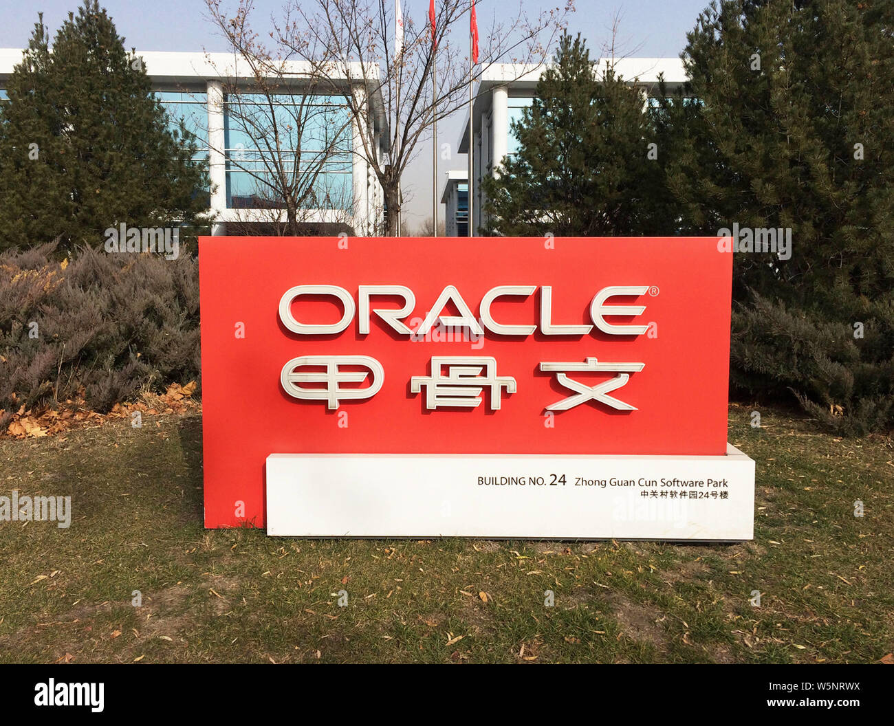 --FILE--Vista di un cartello di noi il gigante del software Oracle a Pechino in Cina, 28 novembre 2018. Noi gigante del software Oracle ha deciso di licenziare circa 5 Foto Stock