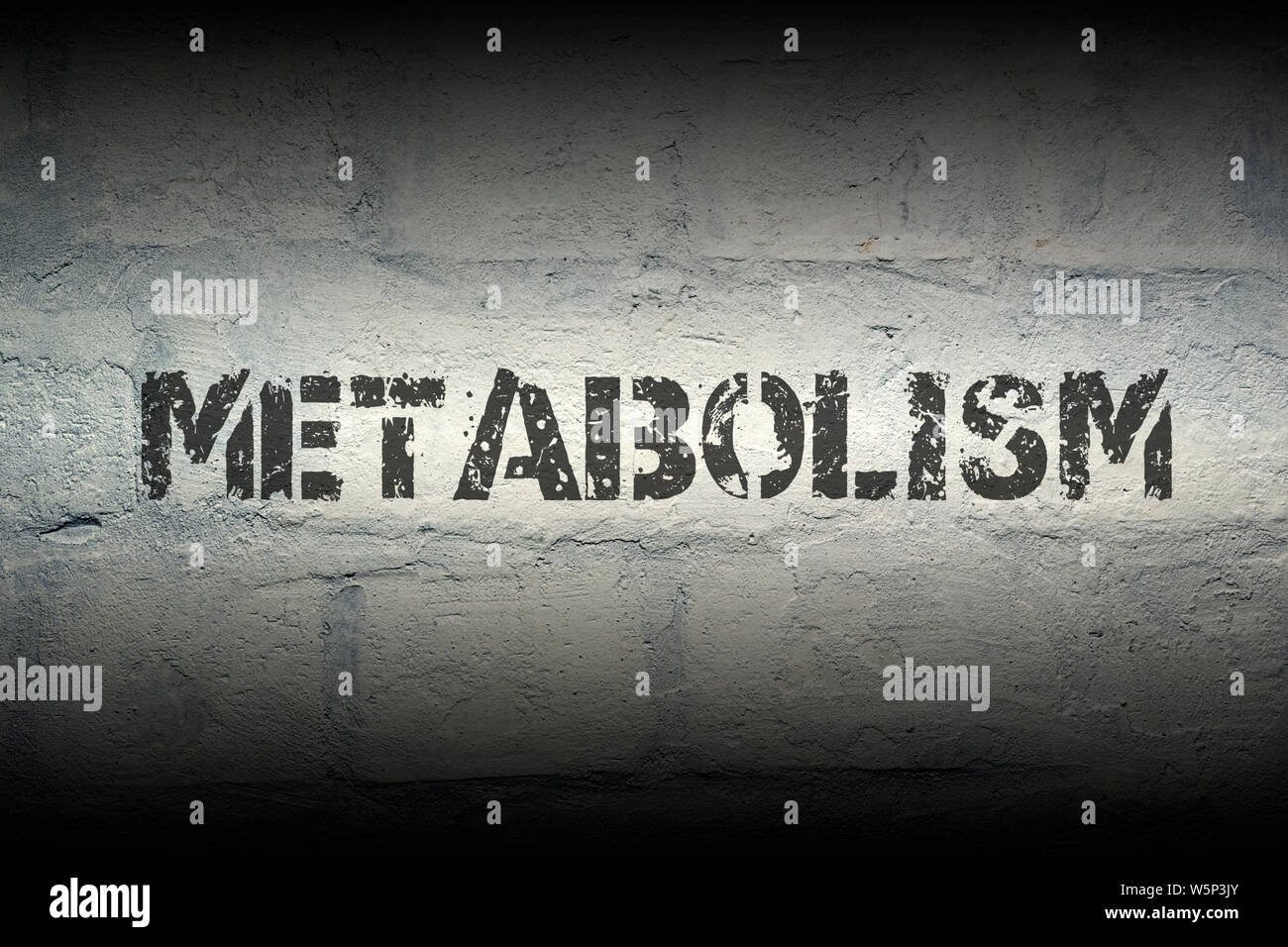 Metabolismo parola stencil sulla stampa del grunge bianco muro di mattoni; appositamente progettati font viene utilizzato Foto Stock