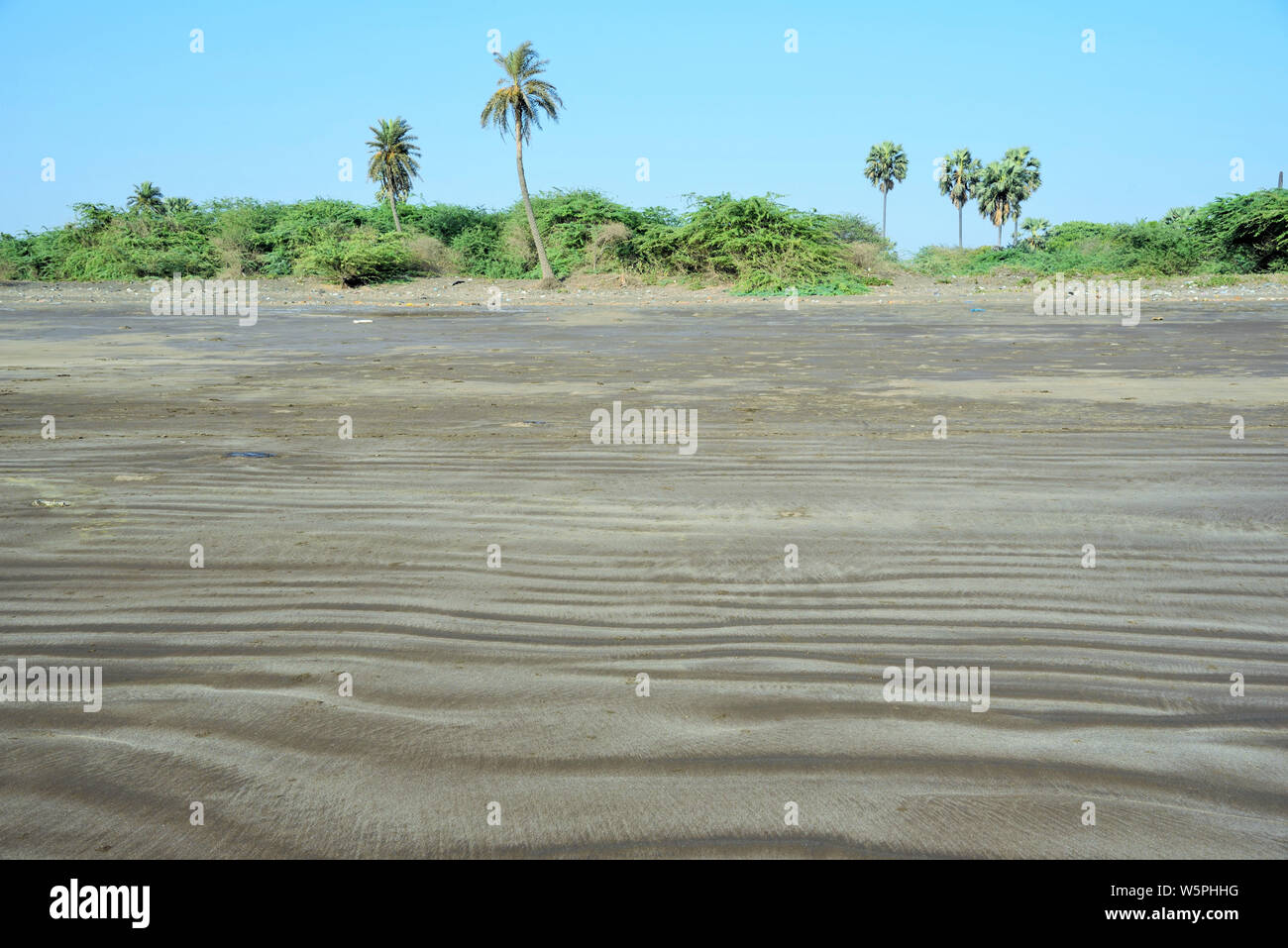Spiaggia Bhagal Valsad Gujarat India Asia Foto Stock