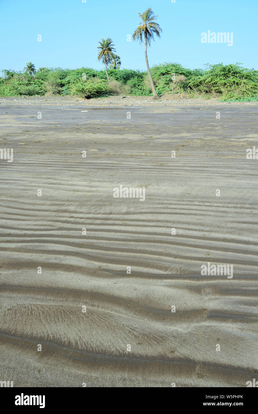 Spiaggia Bhagal Valsad Gujarat India Asia Foto Stock