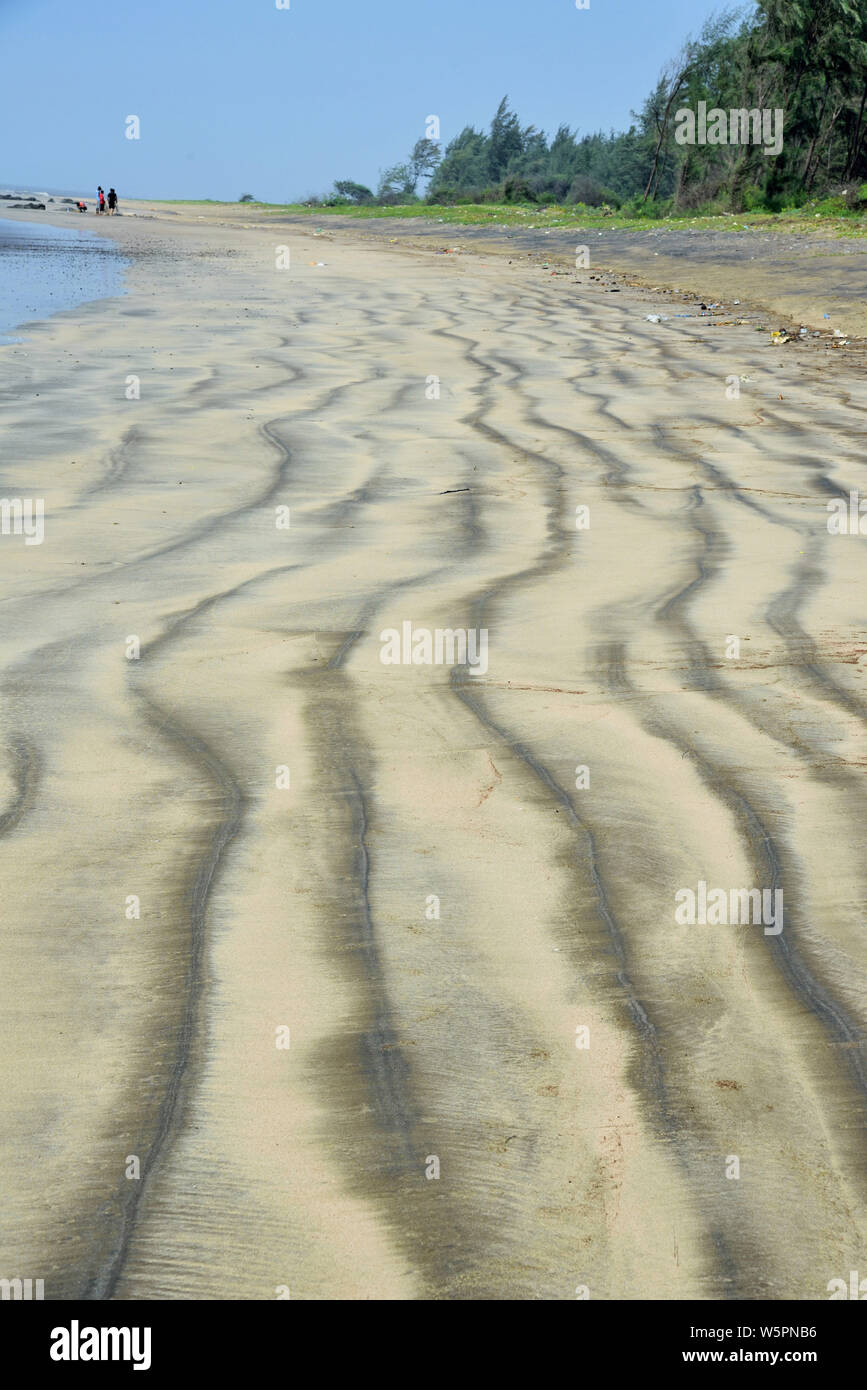 Spiaggia Maroli Valsad Gujarat India Asia Foto Stock