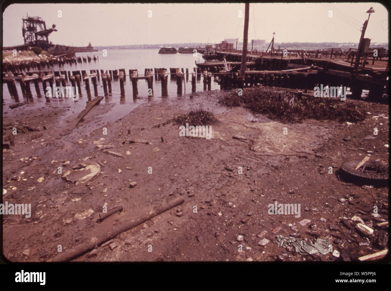 La BASSA MAREA SULLA ARTHUR KILL rivela le fuoriuscite di petrolio sulle erbe palustri al porto la lettura di Cantiere di Carbone Foto Stock
