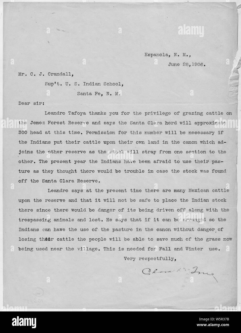 Lettera al provveditore per quanto riguarda il pascolo della Santa Clara bovini sul Jemez Riserva Forestale.; Portata e contenuto: Lettera a Supt. Crandall da Miss vero per chiedere il permesso per Leandro Tafoya a pascolare 300 testa di Santa Clara bovini sul Jemez Riserva Forestale. La foresta di Jemez riserva confina con la Santa Clara Riserva e che essi sono hanno problemi con il bestiame messicano mescolarsi con il bestiame indiano. Essi hanno bisogno di utilizzare il pascolo fino al canyon e salvare il pascolo vicino al Pueblo per la caduta e per l'inverno. Foto Stock
