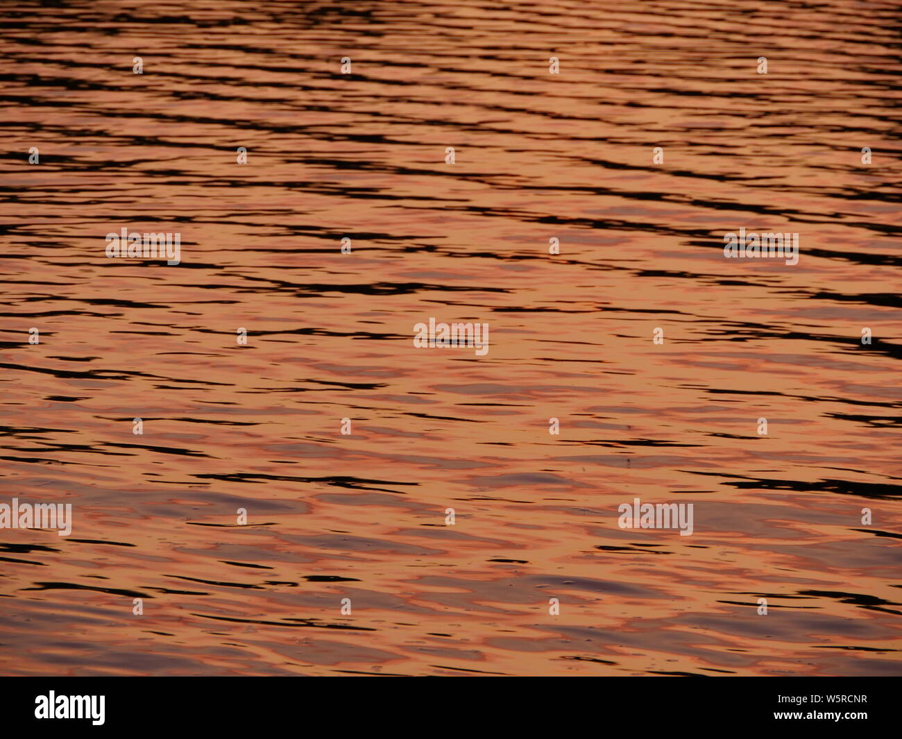 Acqua di Golden Sun dipinge la superficie del mare in golden colore di sfondo Foto Stock