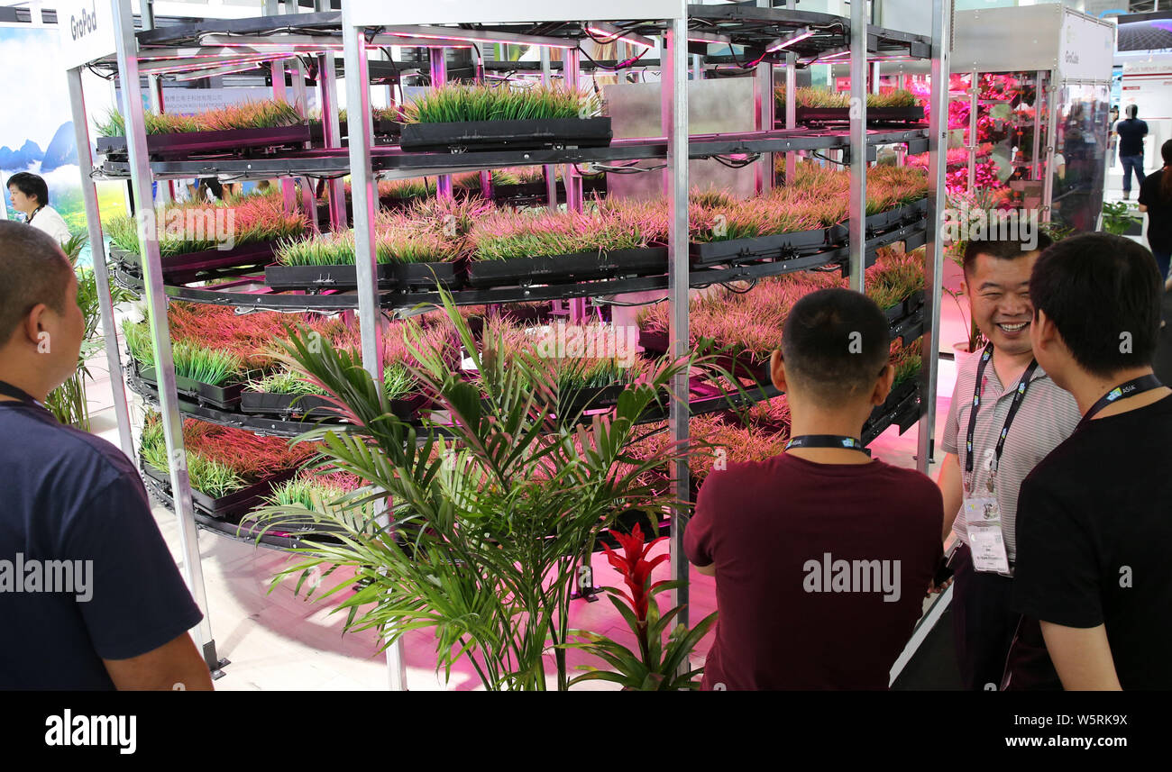 Visitatori visualizza l'agricoltura verticale allo stand di Grocube durante il 2019 International Consumer Electronics Show Asia (CES Asia 2019) in Shanghai, C Foto Stock