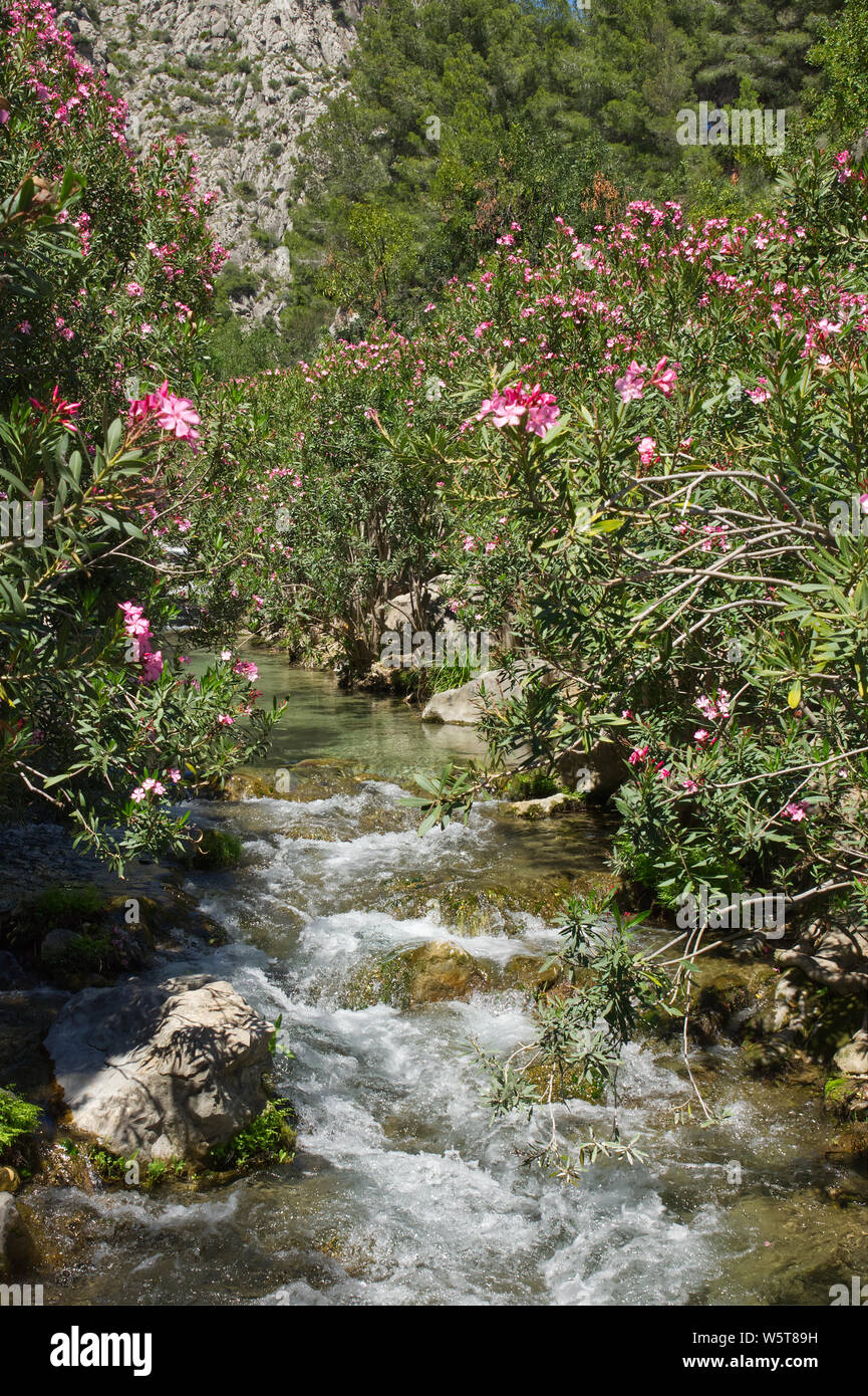 Les Fonts d'Algar (le Cascate di Algar), vicino a Benidorm, Costa Blanca, Spagna. Foto Stock