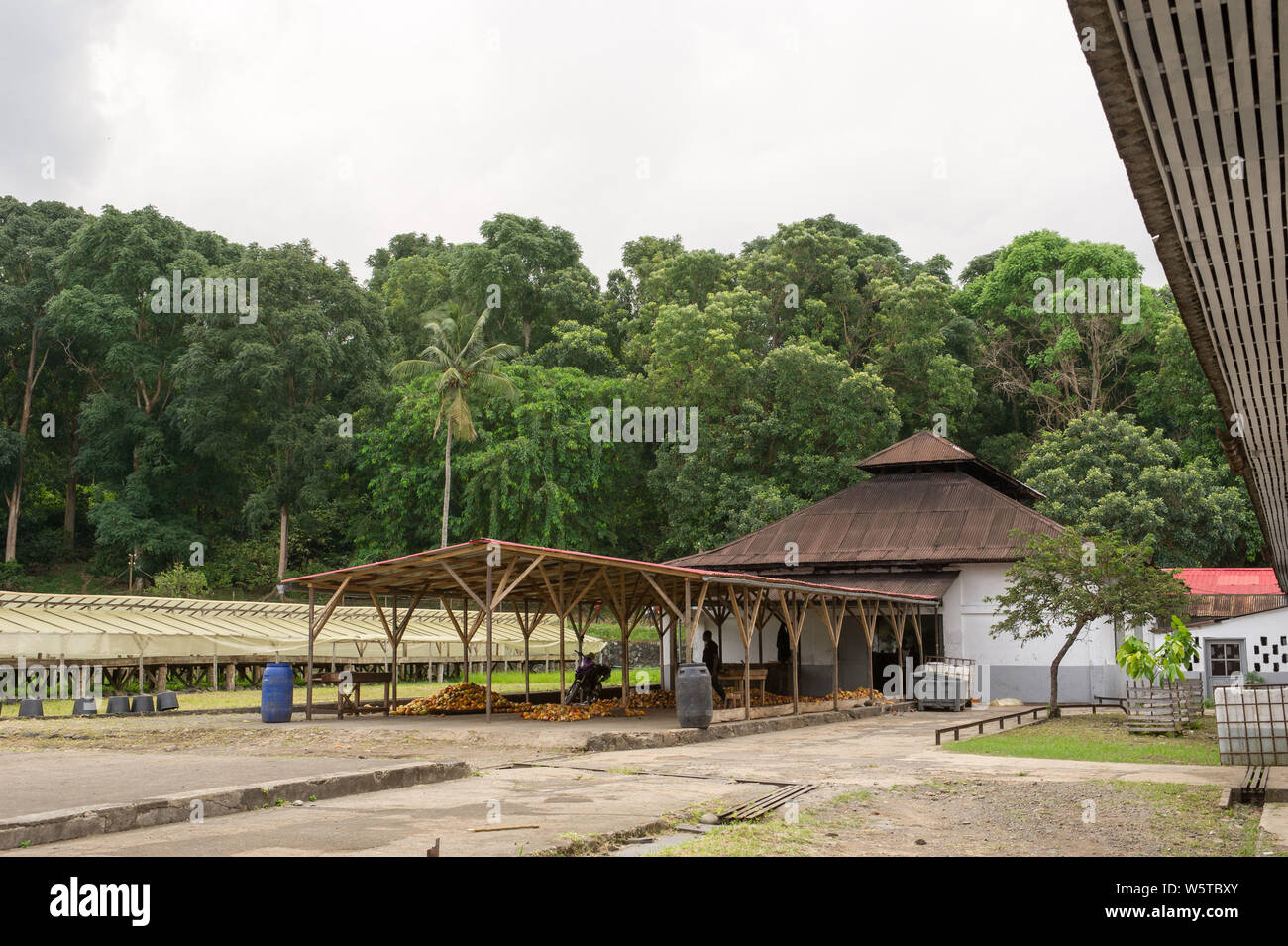 Sao Tome, Diogo Vaz piantagione di cacao: edificio per pod splitting, gusci vengono rimossi dai chicchi a mano Foto Stock