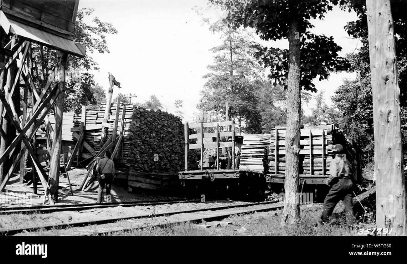 Fotografia di Cleveland Ciffs azienda ferro Tie Mill dalla parte posteriore, campo di applicazione e il contenuto: didascalia originale: Cleveland Ciffs azienda ferro tie mulino dalla parte posteriore - shouing caricamento di una vettura con cravatta - lastre per la chimica del legno utilizzato a Cliffs-Dow impianto chimico a Marquett. Foresta, Lago Michigan superiore NF. Foto Stock