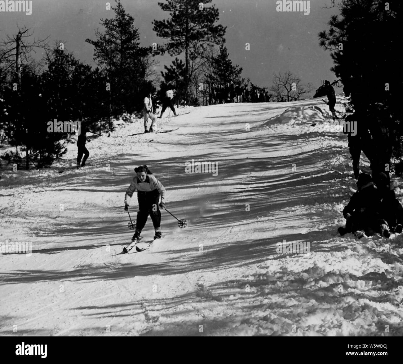 Fotografia di sci Senior di Colle di Val d'argento; Portata e contenuto: didascalia originale: Silver Valley - Senior ski hill in uso. Foto Stock